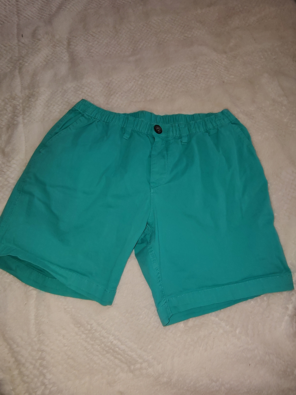 chubbies Teal Flat-Front Men's Shorts